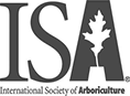 Isa Seal Isa Seal