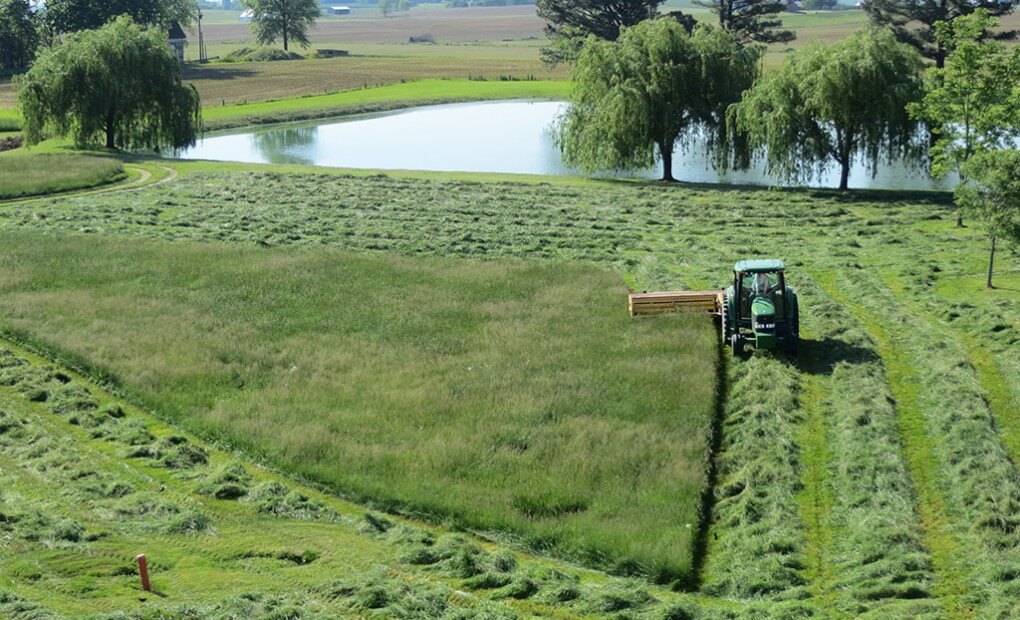 Ourfarm